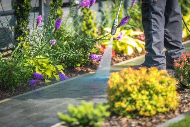 Best Driveway Pressure Washing  in Clyde, NC