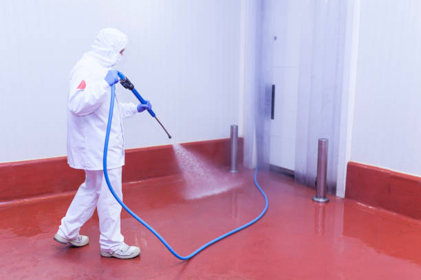 Trusted Clyde, NC  Pressure Washing Services Experts