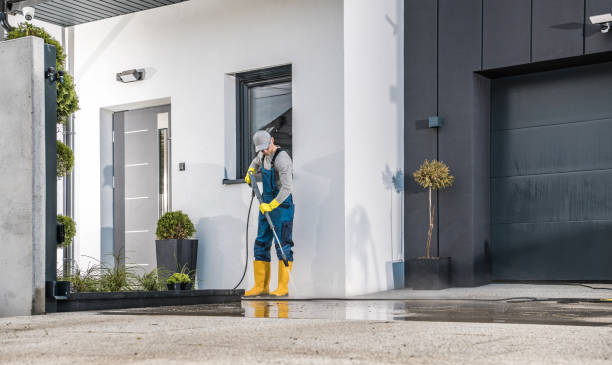 Best Roof Washing  in Clyde, NC